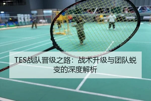 TES战队晋级之路：战术升级与团队蜕变的深度解析