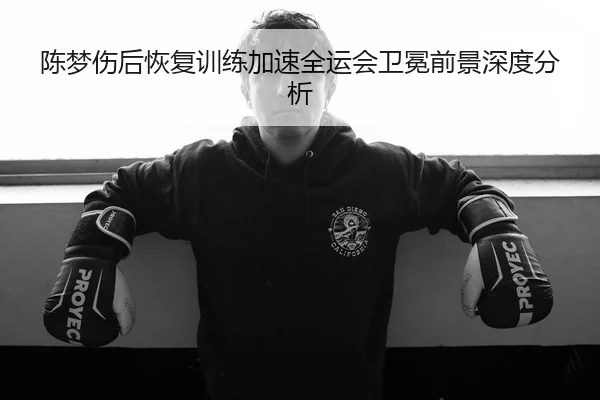 陈梦伤后恢复训练加速全运会卫冕前景深度分析