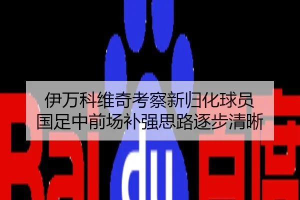 伊万科维奇考察新归化球员 国足中前场补强思路逐步清晰